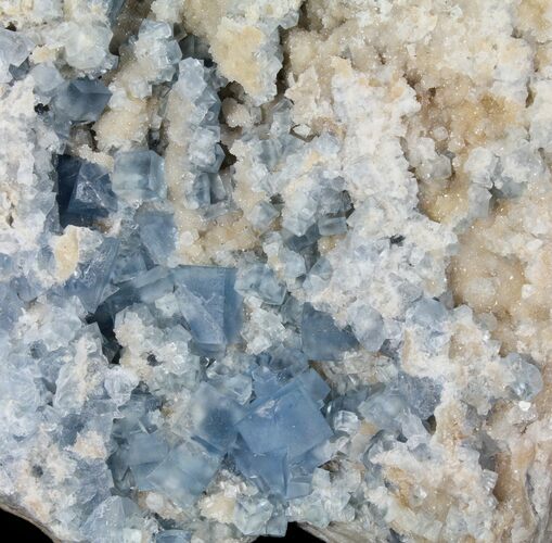 Blue, Cubic Fluorite Crystal Cluster - New Mexico #100989